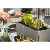 Self-watering planter Lechuza Grey 50 x 19 x 19 cm polypropylene Rectangular