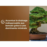 Potting compost OR BRUN BROWN GOLD 6 L