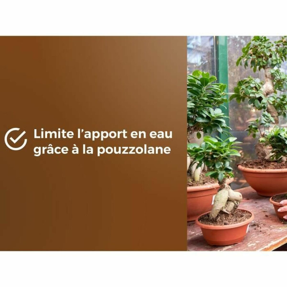 Potting compost OR BRUN BROWN GOLD 6 L