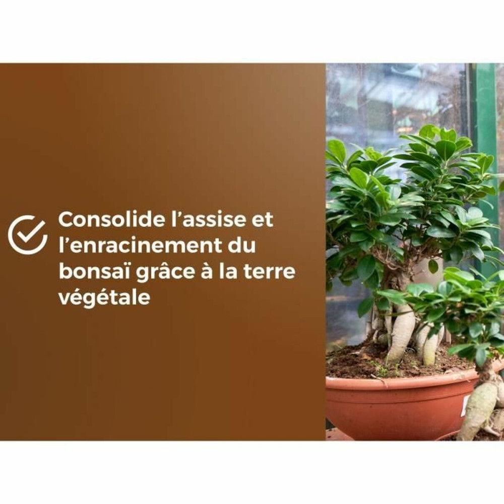 Potting compost OR BRUN BROWN GOLD 6 L