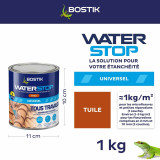 Silicone Bostik