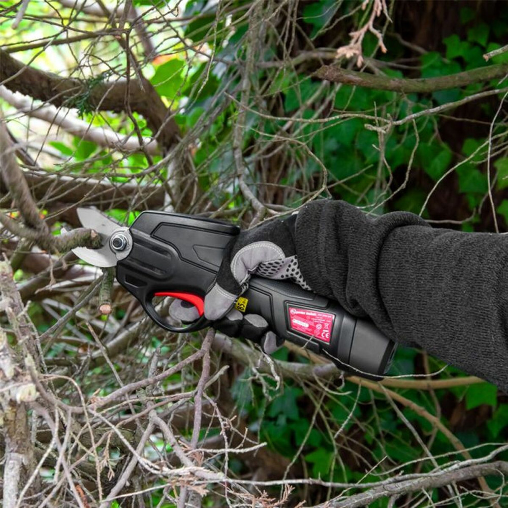 Pruning Shears
