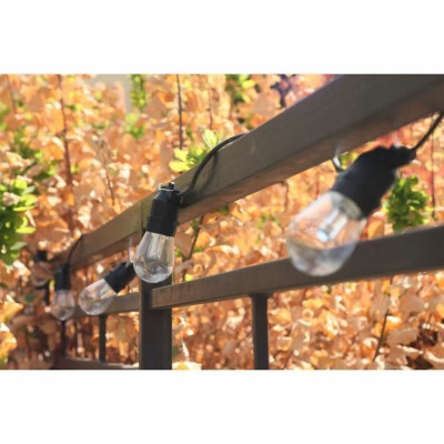 Wreath of LED Lights Rio Black Multicolour 5 m LED RGB 20