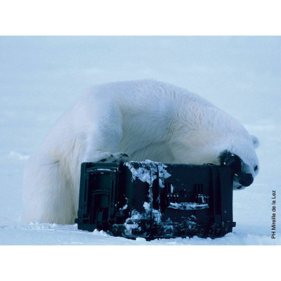 Tool Case GT Line EXPLORER 2209 24,6 x 21,5 x 11,2 cm Metal polypropylene