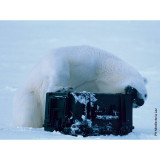 Tool Case GT Line EXPLORER 7641 86 x 55 x 43,5 cm Metal polypropylene 59 L