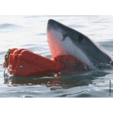 Tool Case GT Line EXPLORER 3818 41 x 34 x 20,5 cm Metal polypropylene