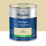 Primer Paint Ripolin