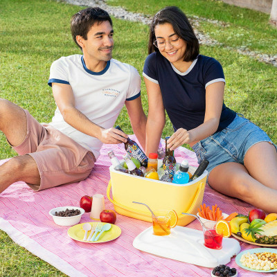 Portable Rigid Cooler Lilty InnovaGoods 15 L