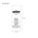 House Slippers Minnie Mouse