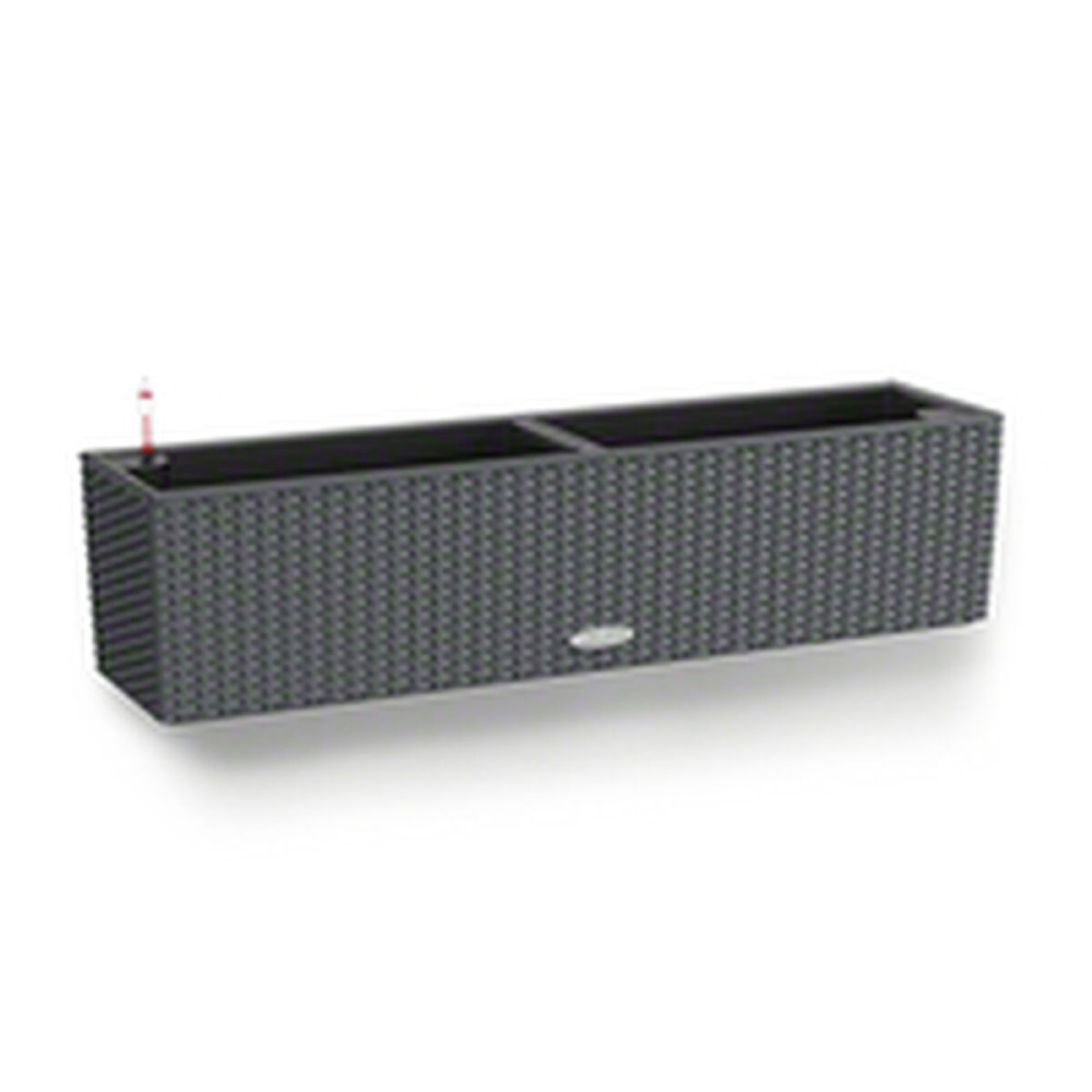 Plant pot Lechuza Black Grey polypropylene