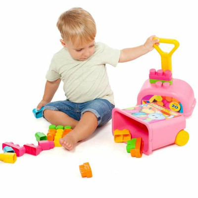 Pull-along toy Moltó 20 Pieces