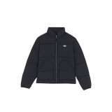 Jacket Dickies Summerdale Puffer Black