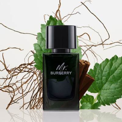 Men's Perfume Burberry Mr. Burberry EDP 100 ml
