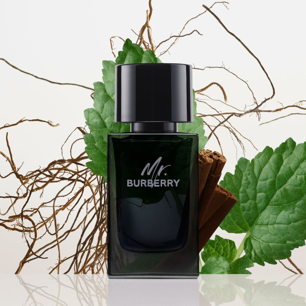 Men's Perfume Burberry Mr. Burberry EDP 100 ml