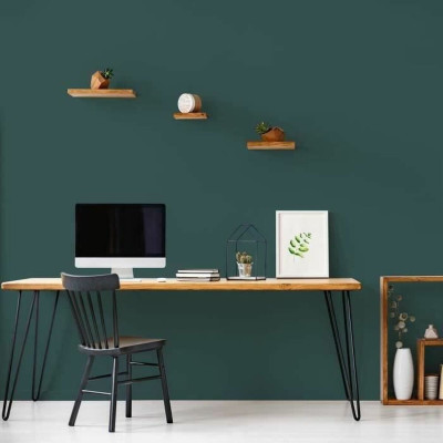 Primer Paint Ripolin Vert 2,5 L Matt