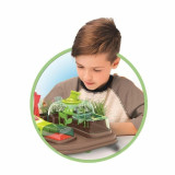 Science Game Clementoni