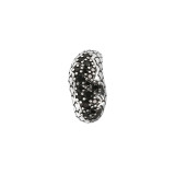 Ladies' Ring Albert M. WSOX00065.BS-14 Black 14