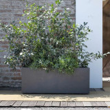 Plant pot Deroma Anthracite 99 cm Plastic Rectangular Modern
