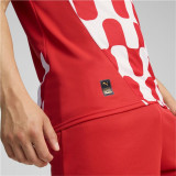 Football T-Shirt Puma Girona Home Jersey Replica