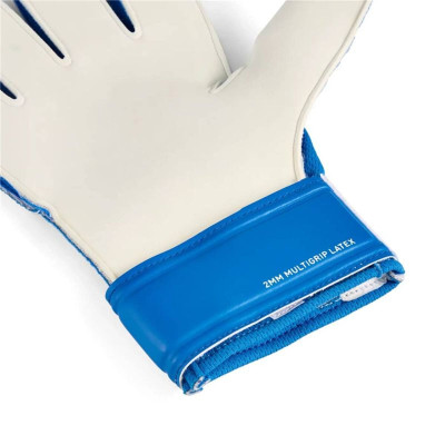 Goalkeeper Gloves Puma Ultra Play Rc Blue Adults