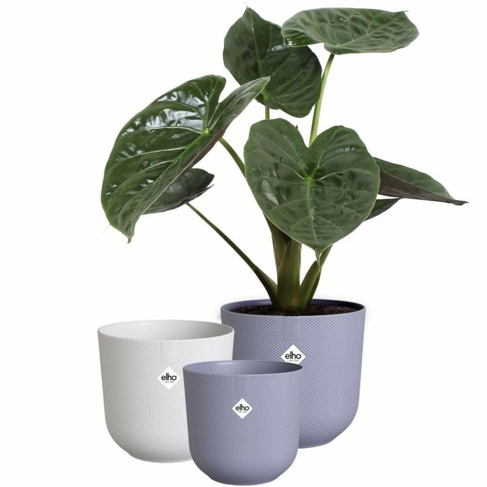Plant pot Elho Jazz White Lilac Plastic Circular 3 Pieces