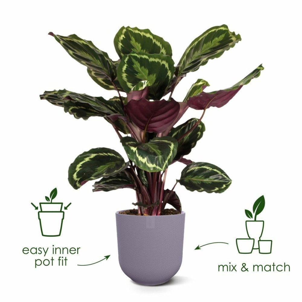 Plant pot Elho Jazz White Lilac Plastic Circular 3 Pieces