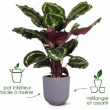 Plant pot Elho Jazz White Lilac Plastic Circular 3 Pieces