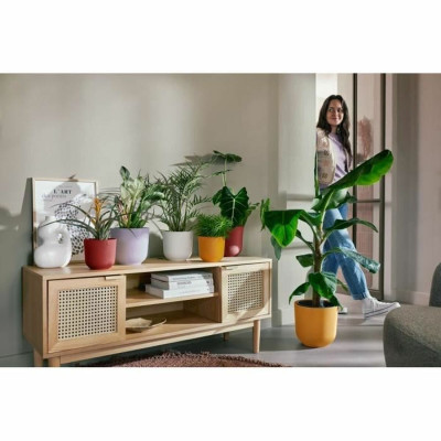 Plant pot Elho Jazz White Lilac Plastic Circular 3 Pieces