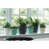 Set of pots Elho Grey Plastic Circular 2 Pieces