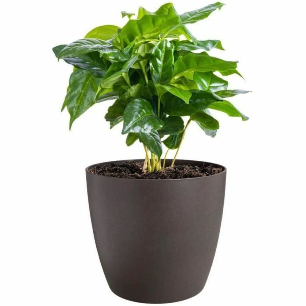 Set of pots Elho Plastic Circular 3 Pieces