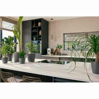 Set of pots Elho Plastic Circular 3 Pieces