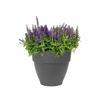 Plant pot Elho Plastic Circular
