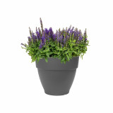Plant pot Elho Plastic Circular