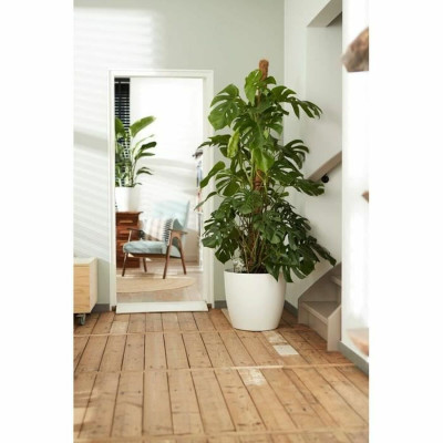 Set of pots Elho White Plastic Circular 2 Pieces