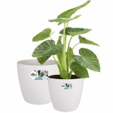 Set of pots Elho White Plastic Circular 2 Pieces