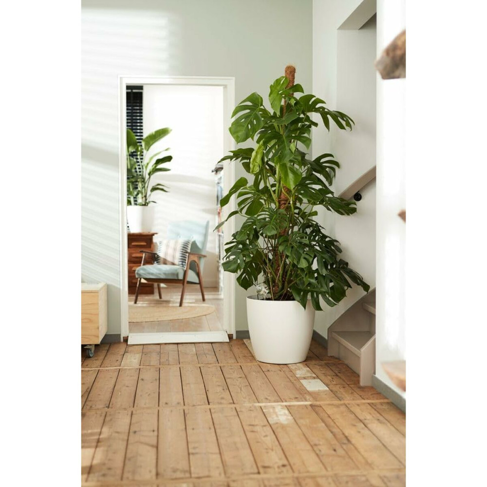 Set of pots Elho White Plastic Circular 2 Pieces