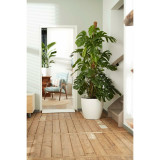 Set of pots Elho White Plastic Circular 2 Pieces