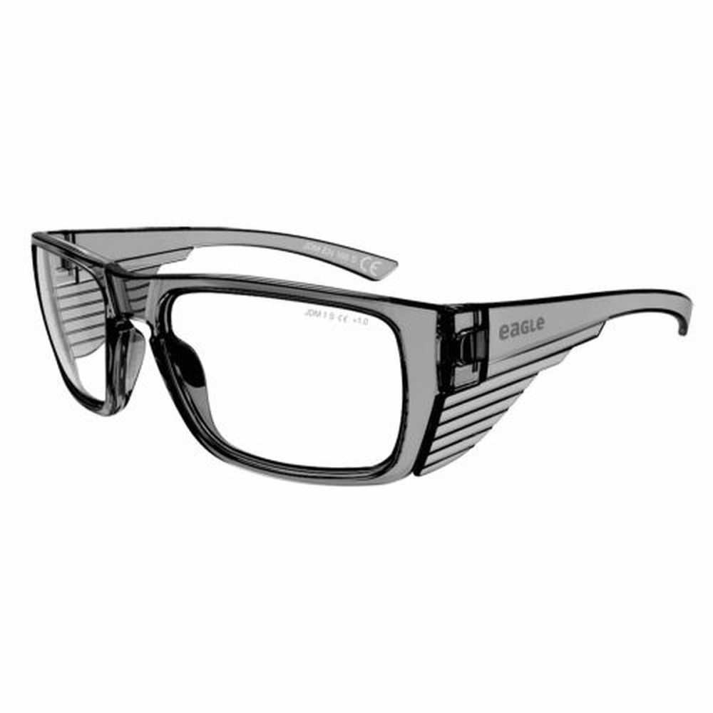 Safety glasses Eagle Tracer Grey Transparent Plastic + 2