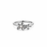 Ladies' Ring 24KAE 12488S/58