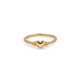 Ladies' Ring 24KAE 12412Y/56 Golden 16
