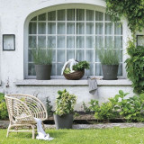 Flower Pot Dish Deroma