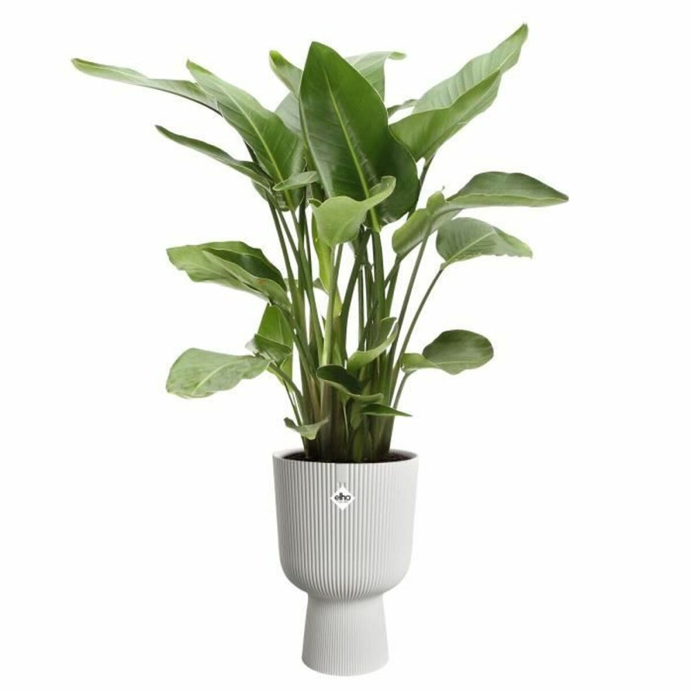 Plant pot Elho