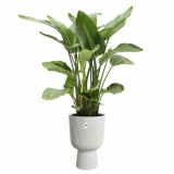 Plant pot Elho