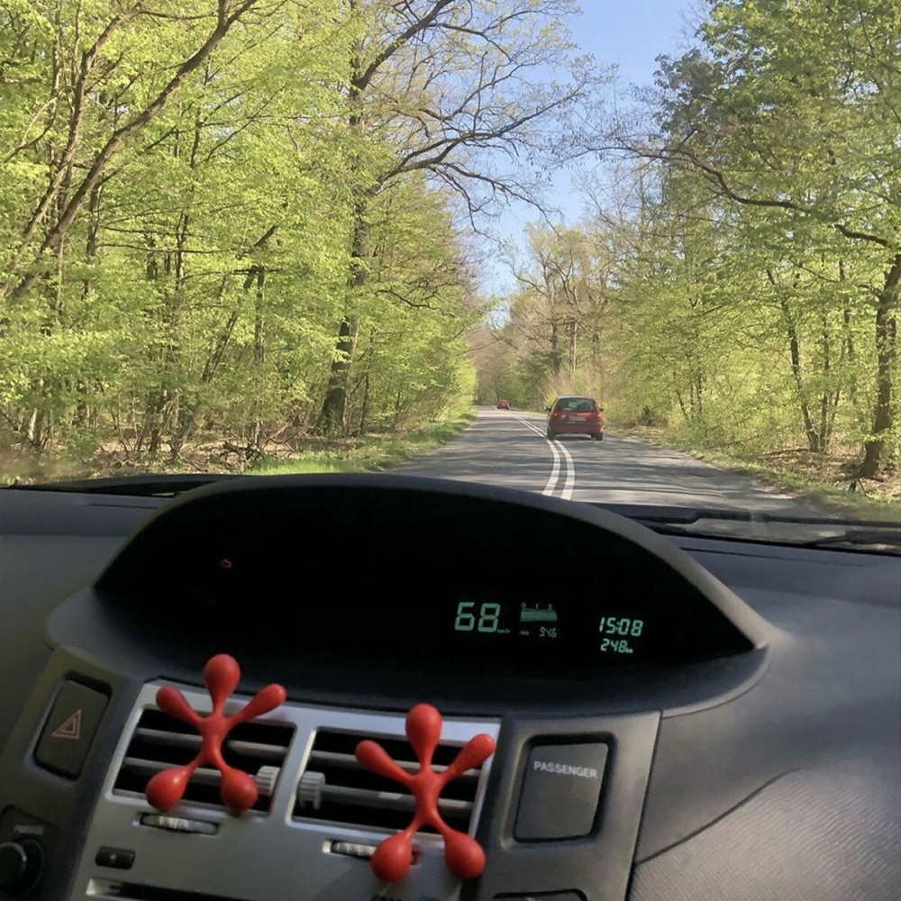 Car Air Freshener Dr Marcus Lucky Top Red fruits Plastic Pendant (12 Units)