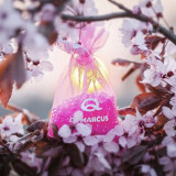 Car Air Freshener Dr Marcus Fresh Bag Chewing gum Fragrance Small bag