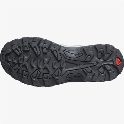 Hiking Boots Salomon Quest Rove Gore-Tex Grey