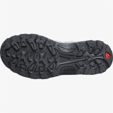 Hiking Boots Salomon Quest Rove Gore-Tex Grey