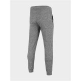 Long Sports Trousers 4F Functional Men