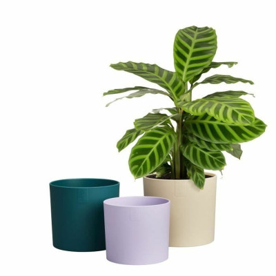 Plant pot Elho