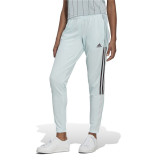 Long Sports Trousers Adidas Light Cyan Lady